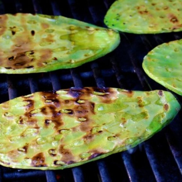 Prickly Pear Cactus 2 ea Spineless Opuntia Decorative Plant and Beauty Regimen. - Picture 5 of 12